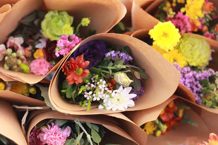 shzira3 700_0001_IMG_3915